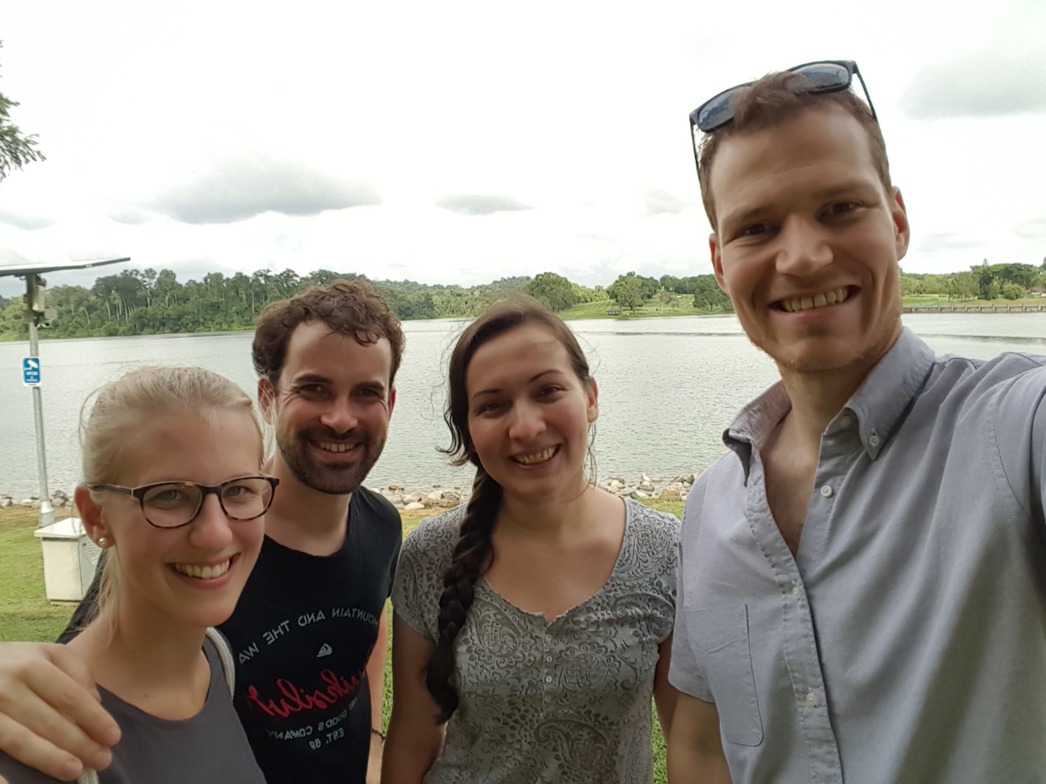 Von Affen und Katzen