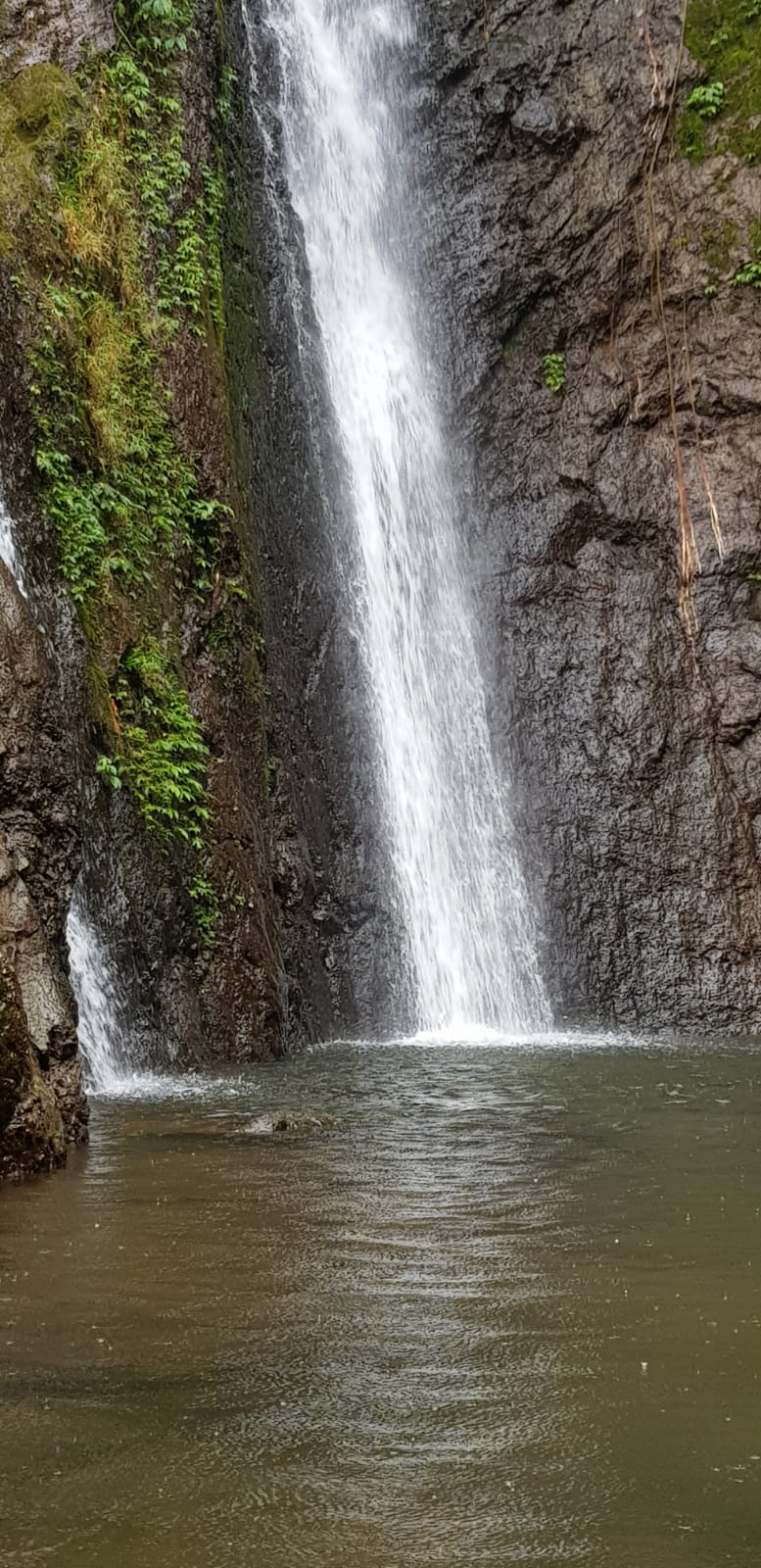 Gut geteert kann jeder