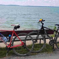 Von Vögeln, Kühen und Katzen