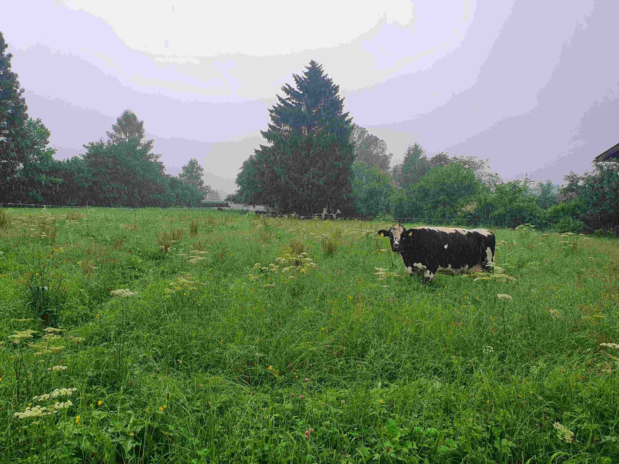 Gasthaus RamsAu, wir kommen wieder