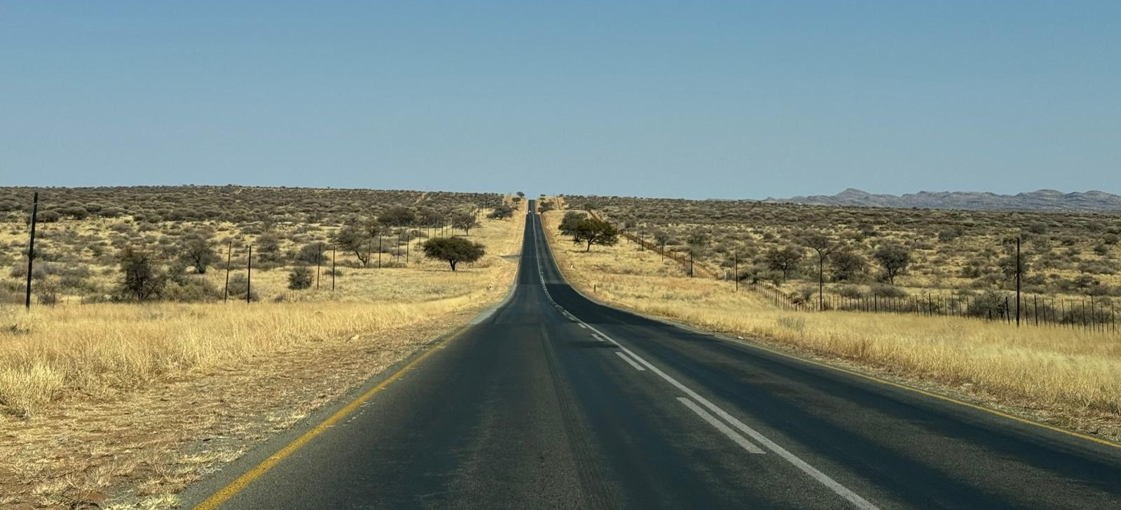 Hakuna Mata, vergiss deine Sorgen