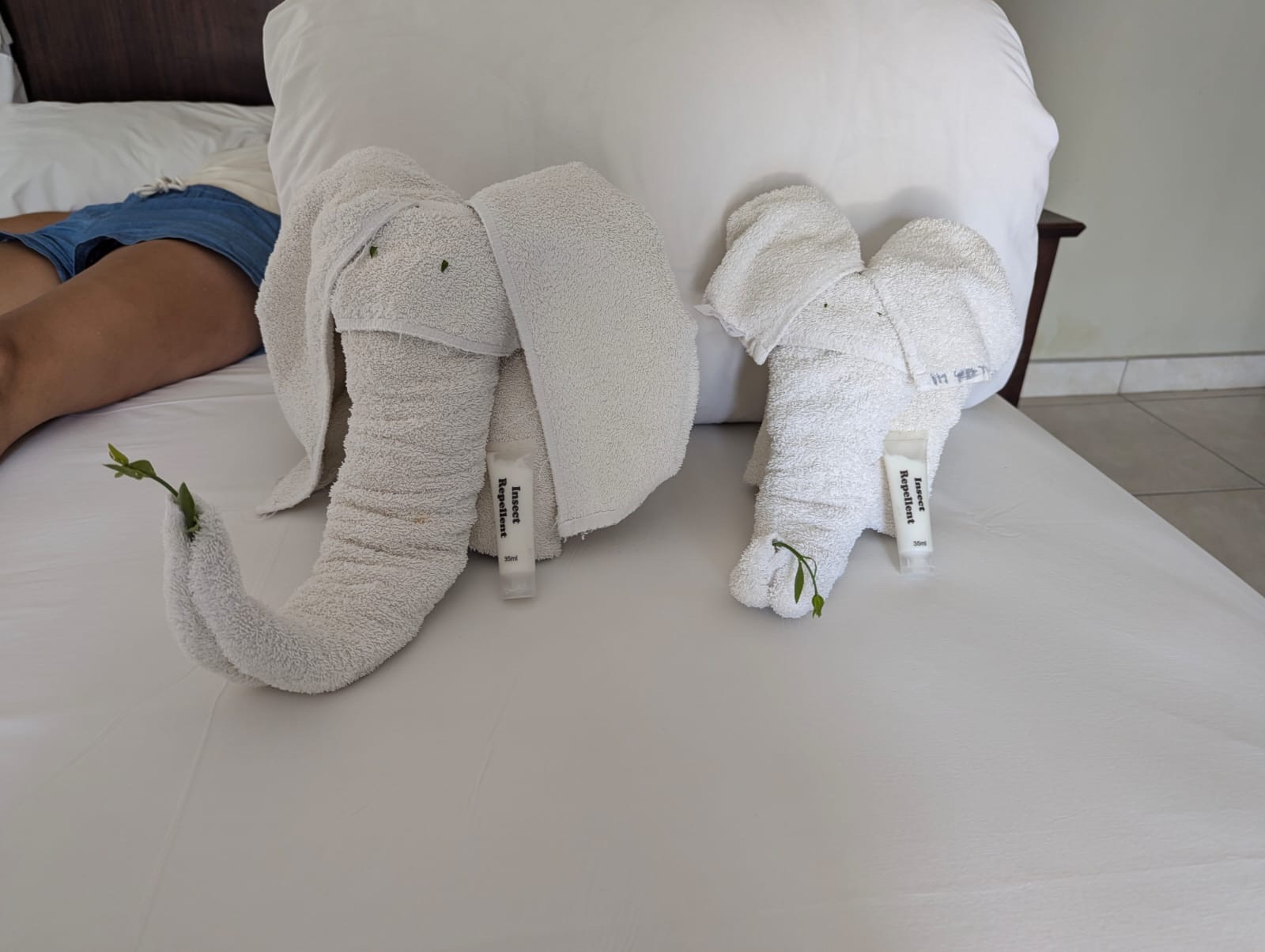 No Wildlife, just high Life