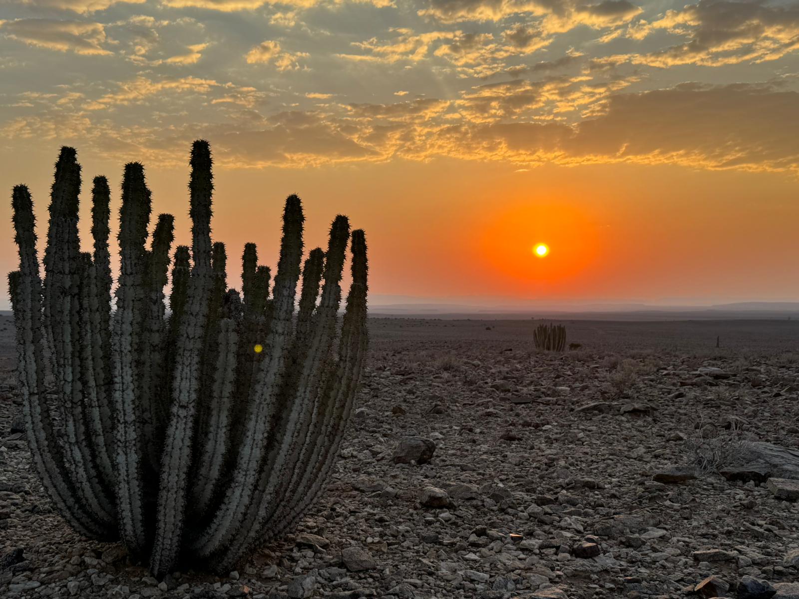 Zwischen Scham und Stolz