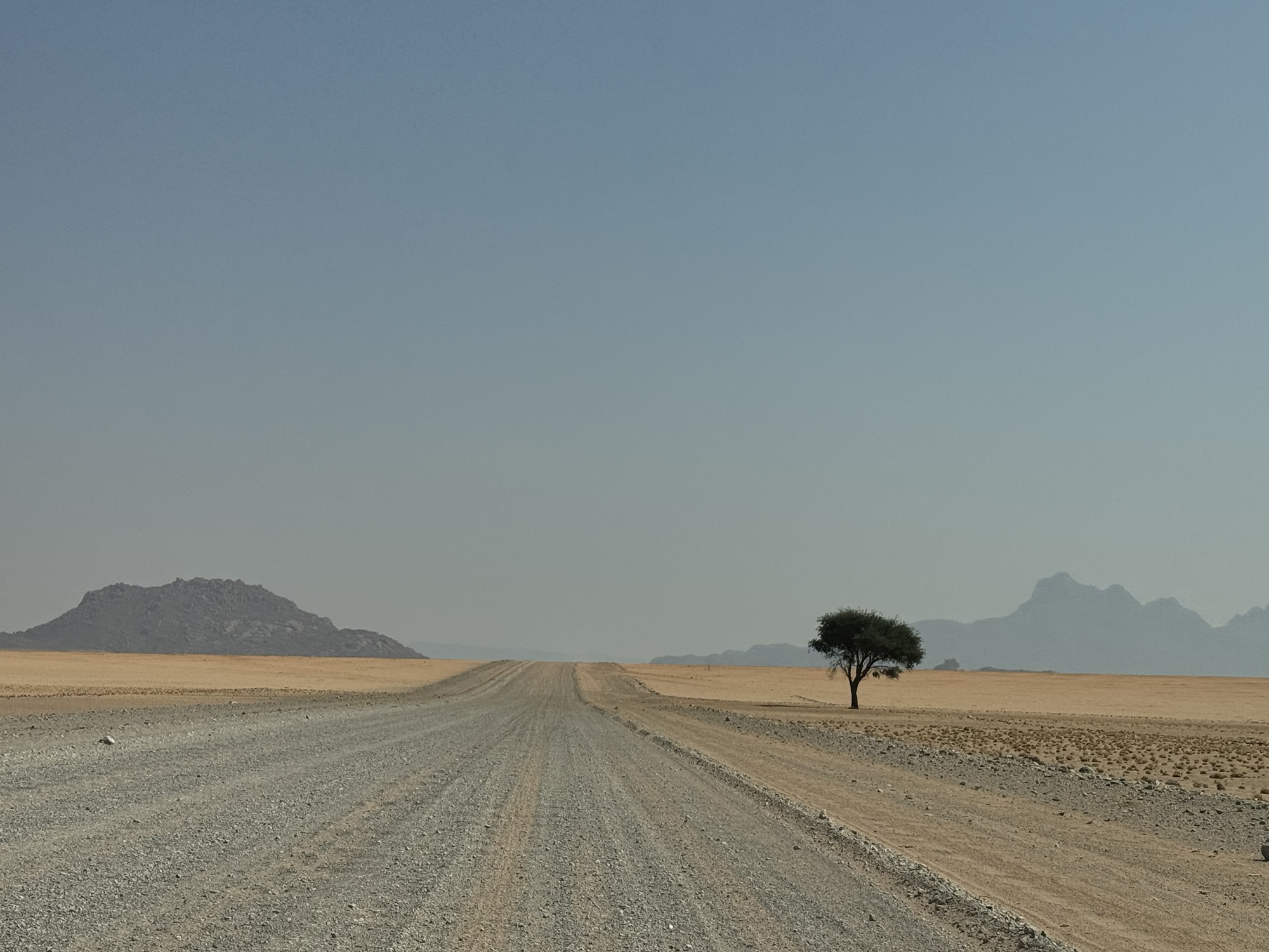 Pumba, wohin man schaut