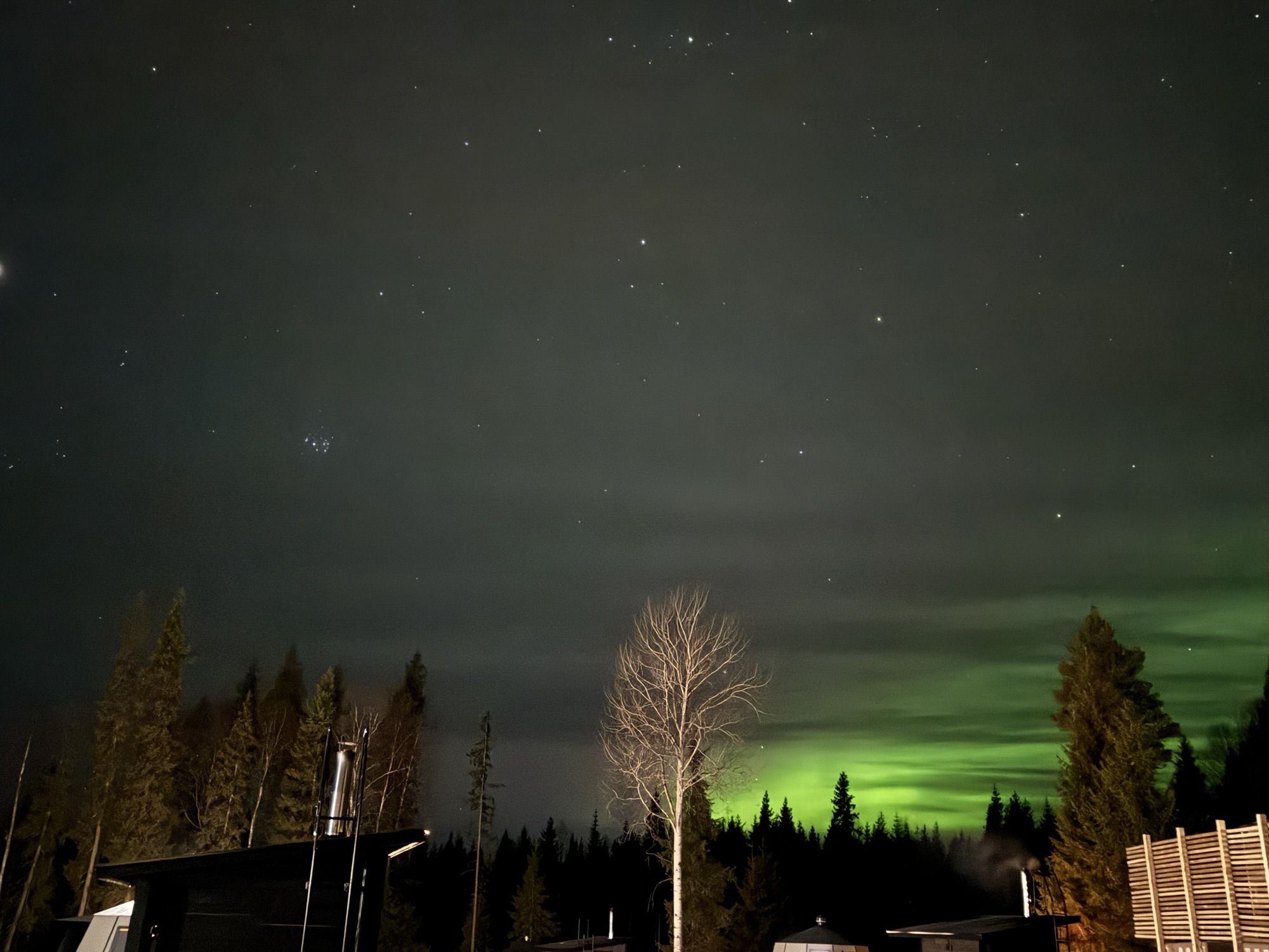 Zu schön um wahr zu sein